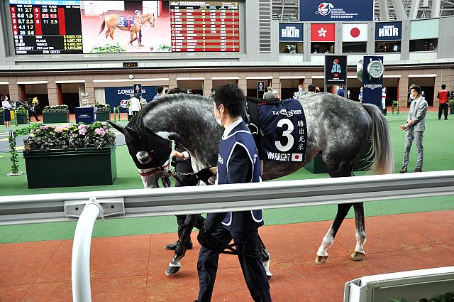 ウインブライト