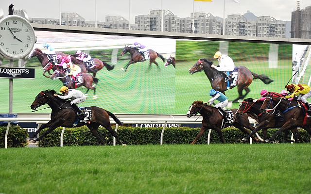 3番のアドマイヤマーズも必死に追いましたが…