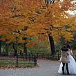 紅葉をバックに結婚式の写真撮影。