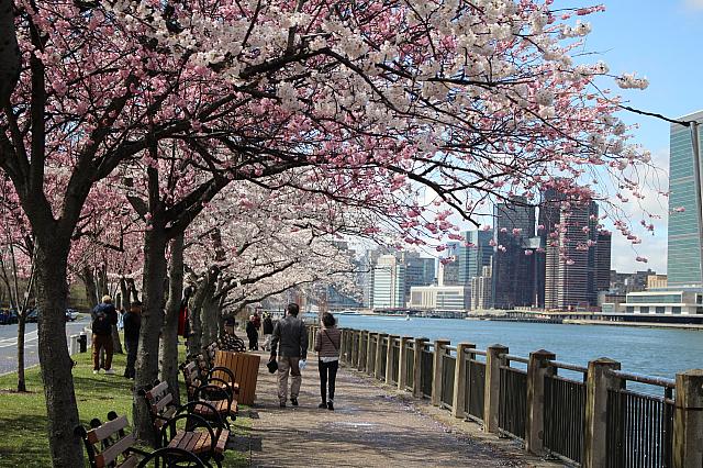 ルーズベルト島