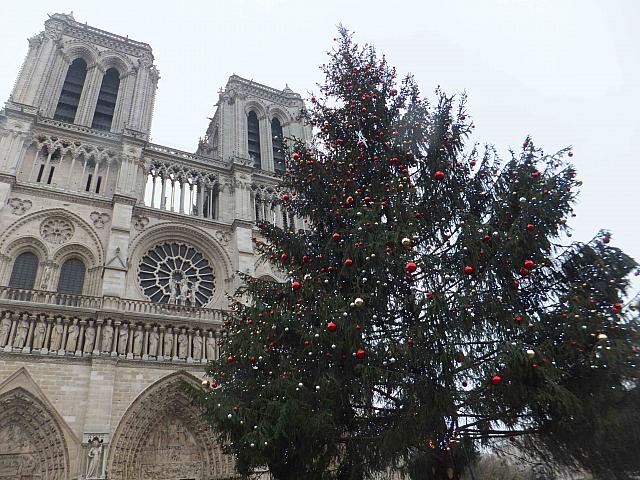 クリスマスイブには、ノートルダム大聖堂でミサが行われます。