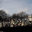 パリの北東部、２０区にあるペール・ラシェーズです。パリで一番広い墓地なんですよ。