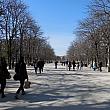 3月に入ってから気温が上がり、いよいよ春がやってきたパリ。こちらはお昼どきのリュクサンブール公園です。