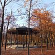 リュクサンブール公園は地元の人にも旅行者にも人気のスポット。すっかり秋らしい風情になってきました。