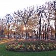 花壇には季節の花が咲きます。リュクサンブール公園はどの季節でも絵になる公園です。
