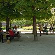 木陰のベンチではお昼を食べる人たちでいっぱい。