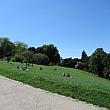 ビュットというのはフランス語で丘の意味。この公園も非常に勾配があります。芝生もこんな感じに傾斜しています。