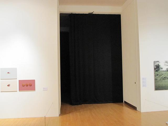 暗幕を使った演出も。