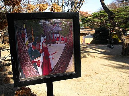 ドラマ「宮廷女官チャングムの誓い」半日ツアー（午前：ホテルピックアップ） 〔SR3-1〕 チャングム 大長今 大長今パーク チャングムパーク チャングムツアー 半日ツアー ナビの体験記事を集めたツアー 韓国 韓国 韓国ツアー 韓国ツアー 韓国　ツアー韓国　ツアー