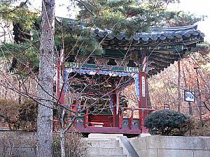 ドラマ「宮廷女官チャングムの誓い」半日ツアー（午前：ホテルピックアップ） 〔SR3-1〕 チャングム 大長今 大長今パーク チャングムパーク チャングムツアー 半日ツアー ナビの体験記事を集めたツアー 韓国 韓国 韓国ツアー 韓国ツアー 韓国　ツアー韓国　ツアー