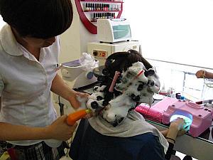 この泡が消える頃、第２工程終了です