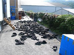 たくさんの靴や服が。エキストラの人達のものかな。