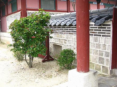 ここでミシルが逃がした臣下の首を斬るというシーンが撮られ、このシーンのミシルの演技があまりにもインパクトが強く、お笑いやドラマでパロディ化されたりしているそうですよ。