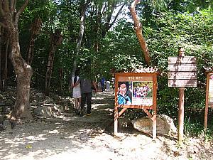 チャングムの看板が見えてきた！