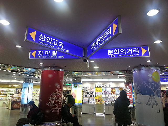 どこの道を選べばいいのか迷っちゃう！