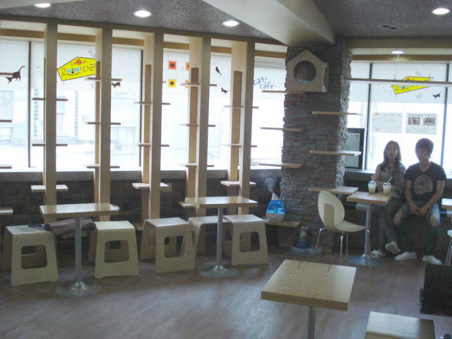 店内は綺麗で広々してます。