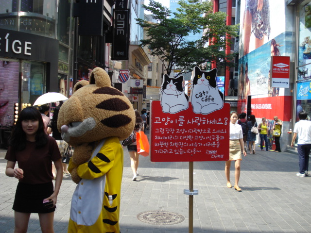 次々に猫と記念撮影～♪