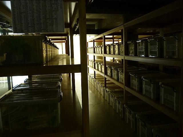 薬剤が保管されています