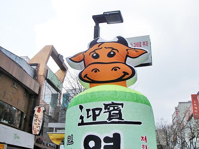 どこか悲しげな目の牛さん。