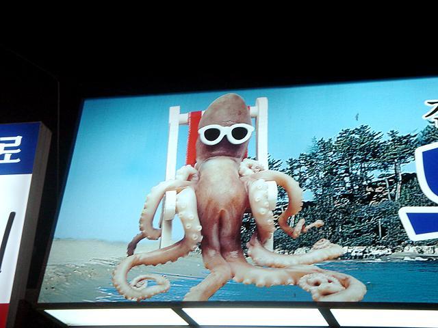 なにゆえイカがサングラス・・