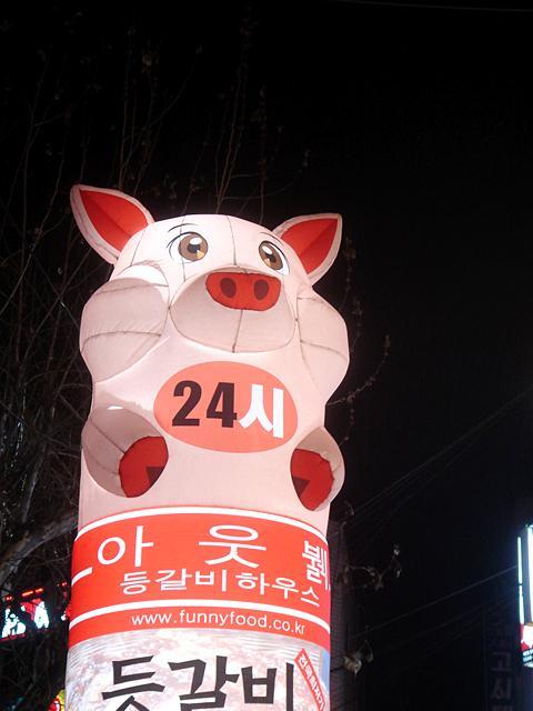 上から見下ろす豚さん。