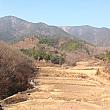 タンタンのソウル風景イゴッチョッ・第１８回「タンタン、温泉地で蟹を食べる」