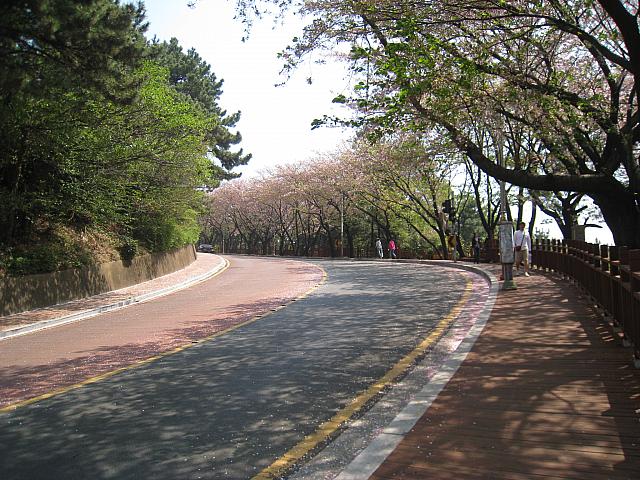 桜並木を下って、ゴールはさっきの森の入り口だそうです。お疲れ様でした～。