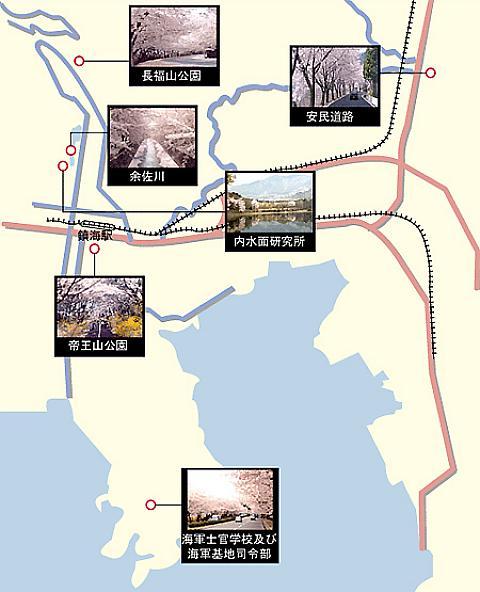 鎮海市内の桜の名所マップ