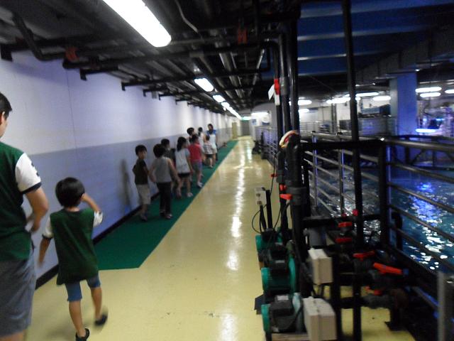 ここはツアーの時だけ特別入らせてもらえる、大水槽の上。水槽の掃除や魚の餌やりなどはここからスーツを着て入っていたんですね。