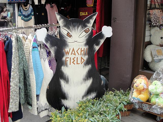 ねこ。