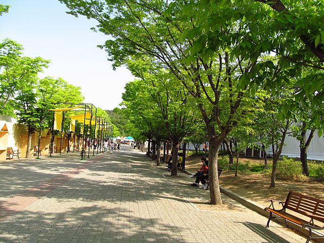 広場へは並木道を抜けていきます。