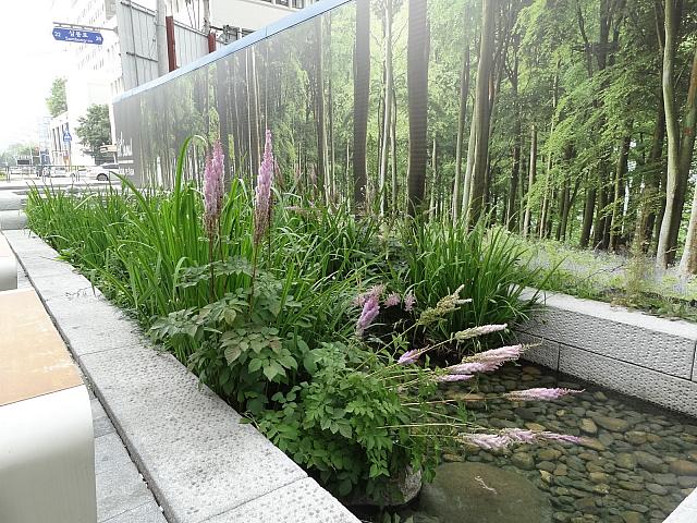 花が咲き乱れてます。