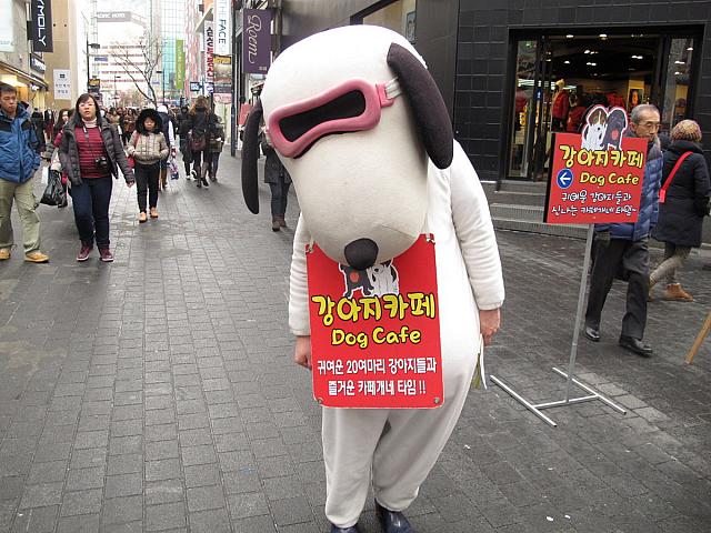 猫カフェのライバル（？）犬カフェのキャラ。さすが犬らしく、愛想よし◎