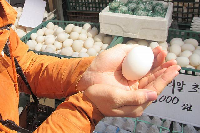 ニワトリの玉子に比べ、ちょっと大きめ