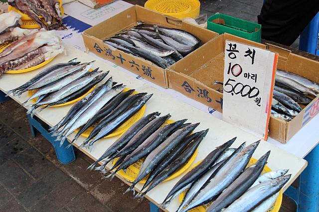 コンチ（さんま）が10匹5,000ウォン！季節ものではないだろうけど、それでも安い～