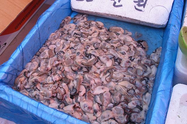 牡蠣。そろそろ季節的にはおしまいかな