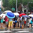 写真で見る雨の日のファッションチェック！【２０１３年７月】 レイングッズ 傘 雨の日 サンダル ファッションチェック 雨の日のファッションチェック 梅雨服装