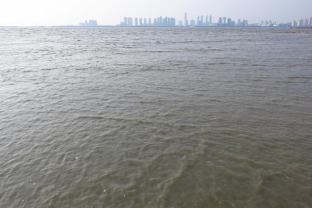 あっという間に干潟が海の下に！！