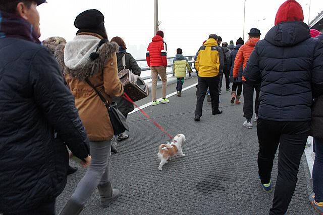 愛犬と一緒に！