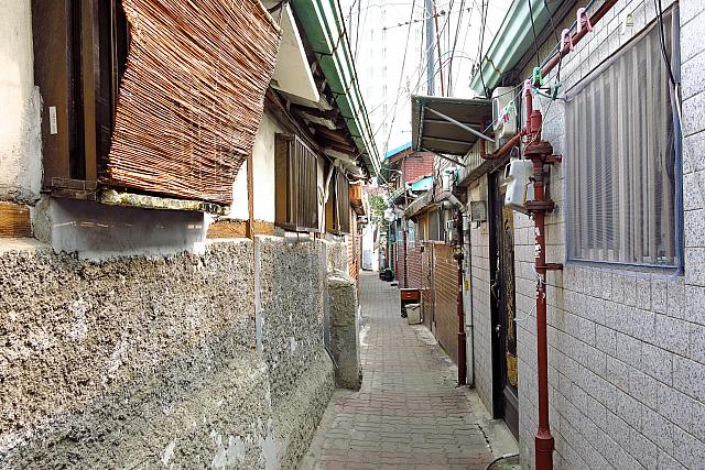 実はこの市場の裏には、昔ながらの家が密集するこんな細ーい路地もあるんです。