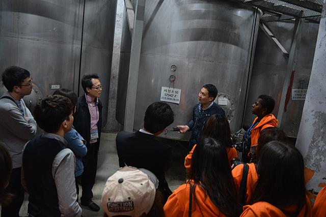 ワインを造る工程の説明　