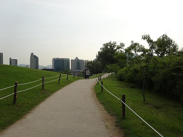 ふたたび登ってきました