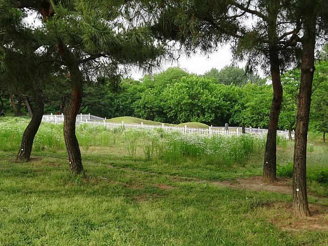 こちらはお墓。