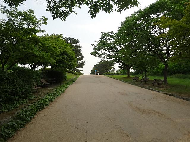 ゆるやかな道で移動