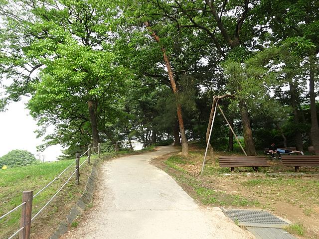 山道を再び登ります。