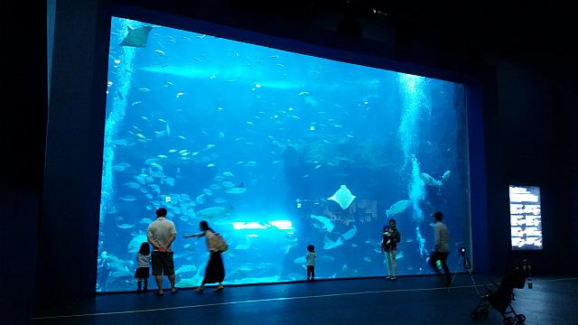 室内型の水族館は子供だけでなく育児で疲れたママも癒されます