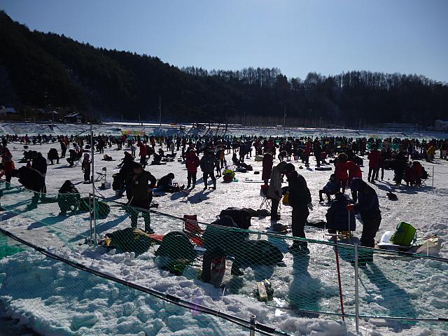 釣りコーナー