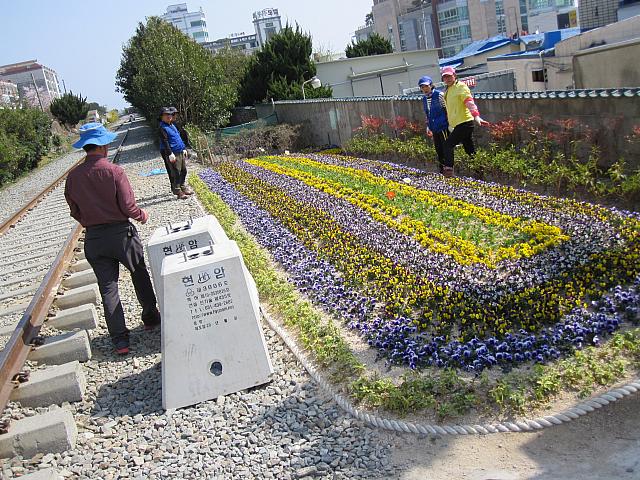 近くの線路沿いには花壇が。