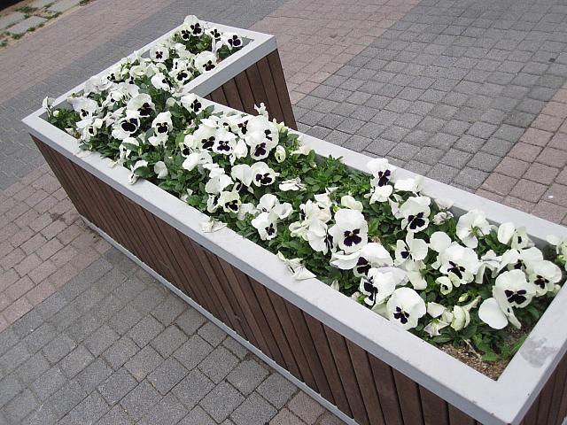 植え込みがとってもきれい！