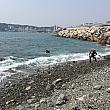 水温もアップしたのか、釜山のダイビングポイントでもある影島でスキューバダイビングをする人の姿も！